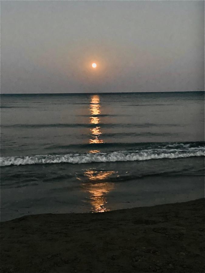 Bali Suites 303 Larnaca Exteriör bild